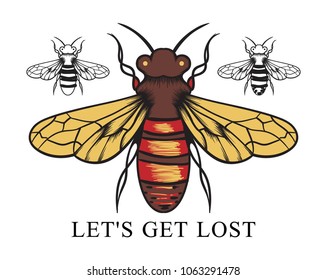 Let's get lost slogan and fly drawing, vector.