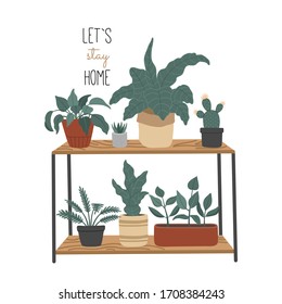Let's stay home, set of hand drawn house plant, urban jungle in flat style, home decoration. Scandinavian interior. Vector illustration isolated background. 