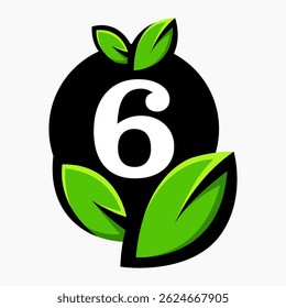 Letter 6 Leaf Logo Design Vector letter template With Leaf Symbol Vector Illustration