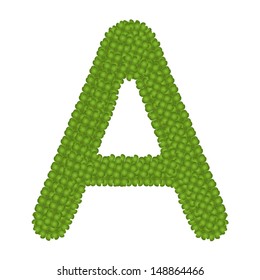 Letter A, Alphabet Letters Made of Four Leaf Clover Isolated on White Background 