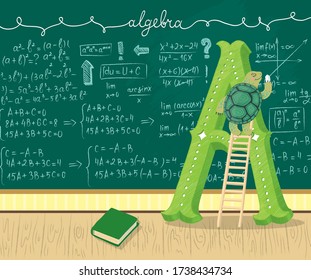 Letter A. Turtle is studying algebra. Character. Vector illustration.