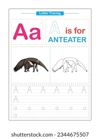Letter A.  Uppercase and Lowercase. Cute children. Colorful ABC alphabet tracing. Practice worksheet for kids. Learning English vocabulary and handwriting. Letter Trace. Vector illustration