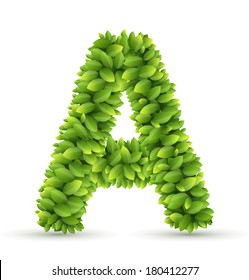 Letter A, vector alphabet of green leaves  on white background