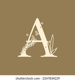 A letter with aesthetic looks for font, mail, cover, print, and more