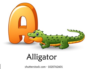 Letter A is for Alligator cartoon alphabet