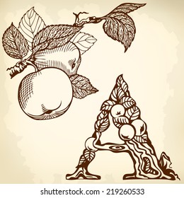 Letter of the alphabet A. Apple.
