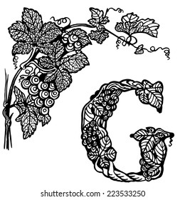 Letter of the alphabet G. A branch of a grapes with berries and leaves.