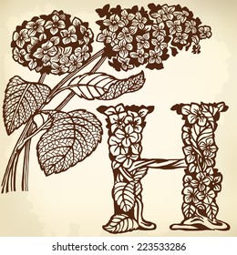 Letter of the alphabet H. A branch of a hydrangea with floewrs and leaves.