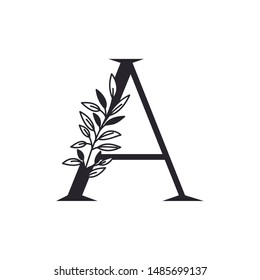 letter A of the alphabet with leaves