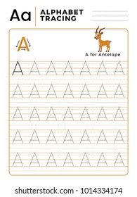 Letter A Alphabet Tracing Book with Example and Funny Antelope Deer Cartoon. Preschool worksheet for practicing fine motor skill. Vector Illustration for Children.
