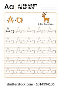 Letter A Alphabet Tracing Book with Example and Funny Antelope Deer Cartoon. Preschool worksheet for practicing fine motor skill. Vector Illustration for Children.