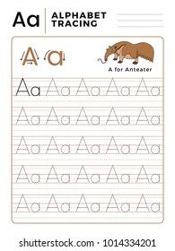 Letter A Alphabet Tracing Book with Example and Funny Anteater Cartoon. Preschool worksheet for practicing fine motor skill. Vector Illustration for Children.