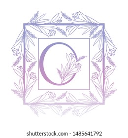 letter of the alphabet with vintage style frame