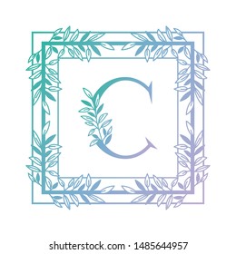 letter of the alphabet with vintage style frame