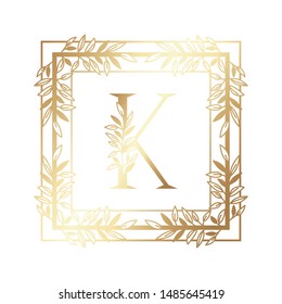 letter of the alphabet with vintage style frame