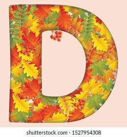 Letter  from autumn colorful leaves