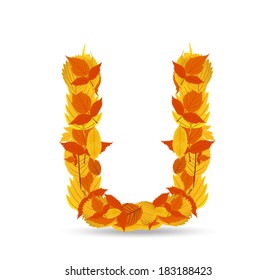Letter from autumn colorful leaves U