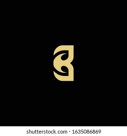 Letter B Abstract logo design template. Modern, Elegant, Luxury vector illustration