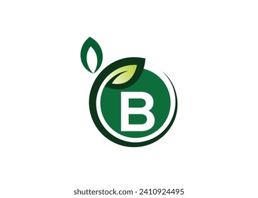Letter B Green leaf logo design vector template. Letter B Nature Growth Leaf vector logo