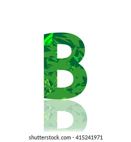 Letter B logo, design template element, font style, vector illustration
