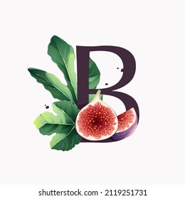 Letter B logo with fresh ripe purple fig fruit and slices with leaf. Vector watercolor hand drawn illustration, isolated on white background.