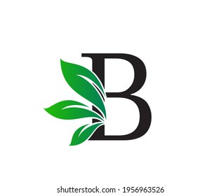 Letter B Logo with Green Leaves, Nature Logo or Icon Design Template.