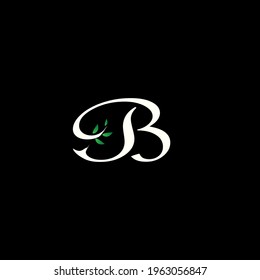 Buchstaben-B-Logo-Design-Elemente , Buchstabe B-Vektorlogo, ABC-Konzepttyp als Logo, Buchstaben des Alphabets, B-Logo in zwei Farbvarianten.Design in WHITE und GREEN.
