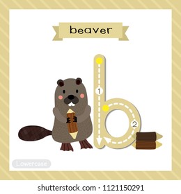 Letter B lowercase cute children colorful zoo and animals ABC alphabet tracing flashcard of standing Beaver holding a log for kids learning English vocabulary and handwriting vector illustration.