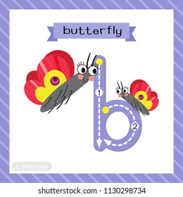 Letter B lowercase cute children colorful zoo and animals ABC alphabet tracing flashcard of Butterfly for kids learning English vocabulary and handwriting vector illustration.