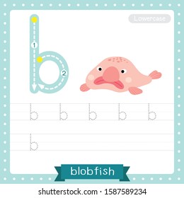 Letter B lowercase cute children colorful zoo and animals ABC alphabet tracing practice worksheet of Pink deep sea Blobfish for kids learning English vocabulary and handwriting vector illustration.