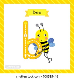 Letter B lowercase cute children colorful zoo and animals ABC alphabet tracing flashcard of Happy Bee standing for kids learning English vocabulary and handwriting vector illustration.