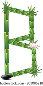 Letter B made of bamboo tree
