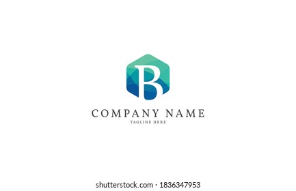 letter B modern hexagon logo template