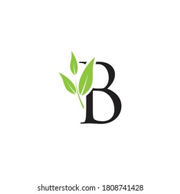 Letter B nature logo design. Simple minimalist vector template