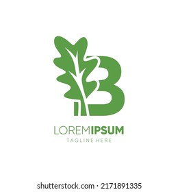 Letter B Oak Leaf Tree Logo Design Vector Icon Graphic Emblem Illustration 