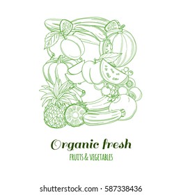 Letter B pattern logo of groceries organic farm fresh fruits and vegetables. Vector illustration logotype. Outline line flat style design. White backdrop.