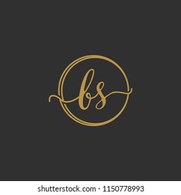 letter b and s logo template vector illustration