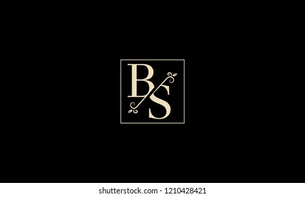 LETTER B AND S MONOGRAM LOGO WITH SQUARE FRAME FOR LOGO DESIGN OR ILLUSTRATION USE