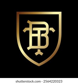 Letter B and letter T into frame. Best team vintage logo, BT monogram. Original logo consist of intertwined letters into shield.