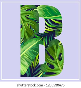 letter b , typography, jungle background, vector illustration 