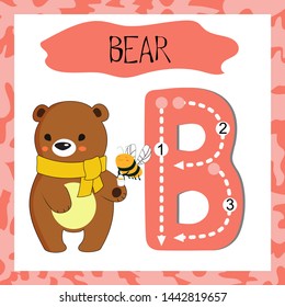 Letter B uppercase cute children colorful zoo and animals ABC alphabet tracing flashcard of Bear for kids learning English vocabulary and handwriting 