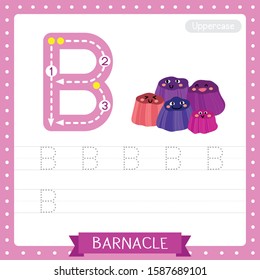 Letter B uppercase cute children colorful zoo and animals ABC alphabet tracing practice worksheet of Barnacle for kids learning English vocabulary and handwriting vector illustration.