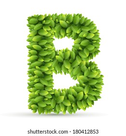 Letter B, vector alphabet of green leaves  on white background
