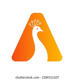 Letra A Hermoso Logotipo de Peacock Plantilla Vector Modelo Coloroso