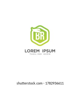 Letter BR eco leaf logo icon design template elements