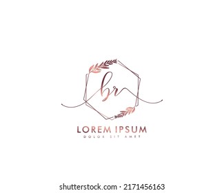 Letra BR Logo de escritura manual inicial con firma y estilo dibujado a mano.