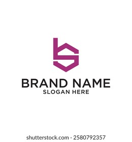 Letter BS logo design vector