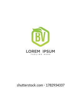 Letter BV eco leaf logo icon design template elements