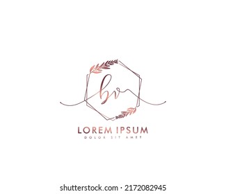 Letter BV Initial handwriting logo with signature and hand drawn style.