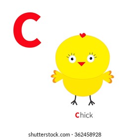 Letter C Chick bird Zoo alphabet. English abc with animals Education cards for kids Isolated White background Flat design Vector illustration